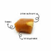 L'Atelier des Korrigans - Producteur Caramel Beurre salé et Pommes bio