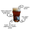 coreff - Bière IPA bio