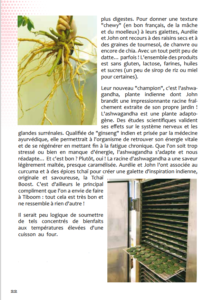 Tiboom dans la presse - Vu dans Satoritz - Page 3